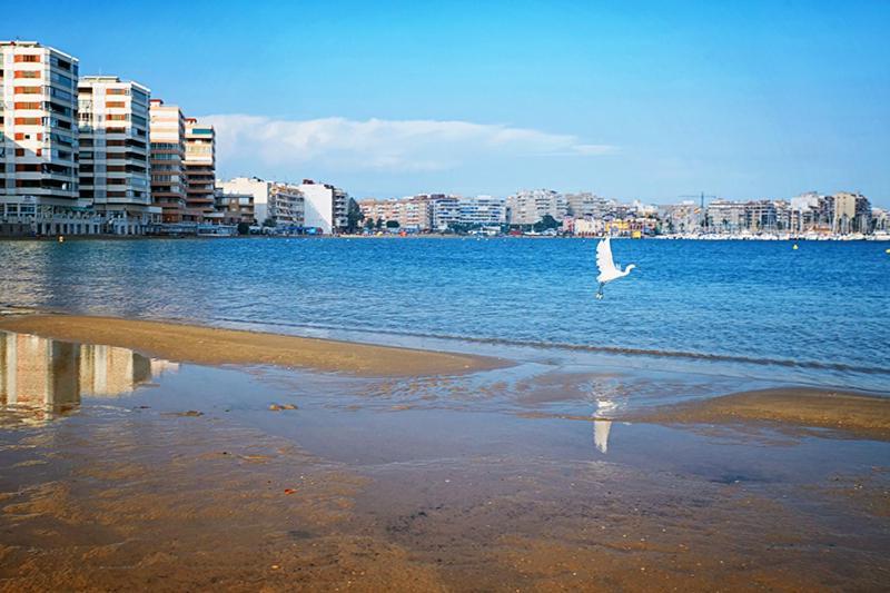 Apartamento San Pascual 69 Torrevieja