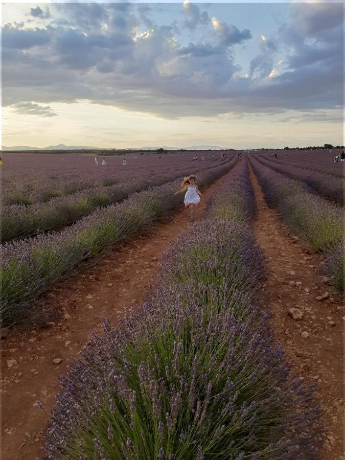 Сasa de vacaciones La Bodega Del Abuelo *