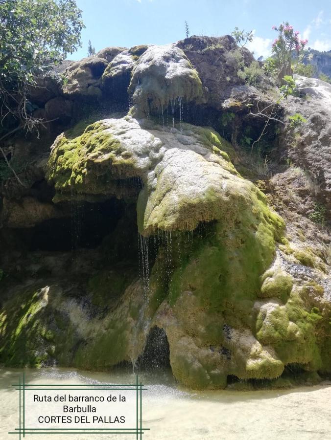 El Majuelo