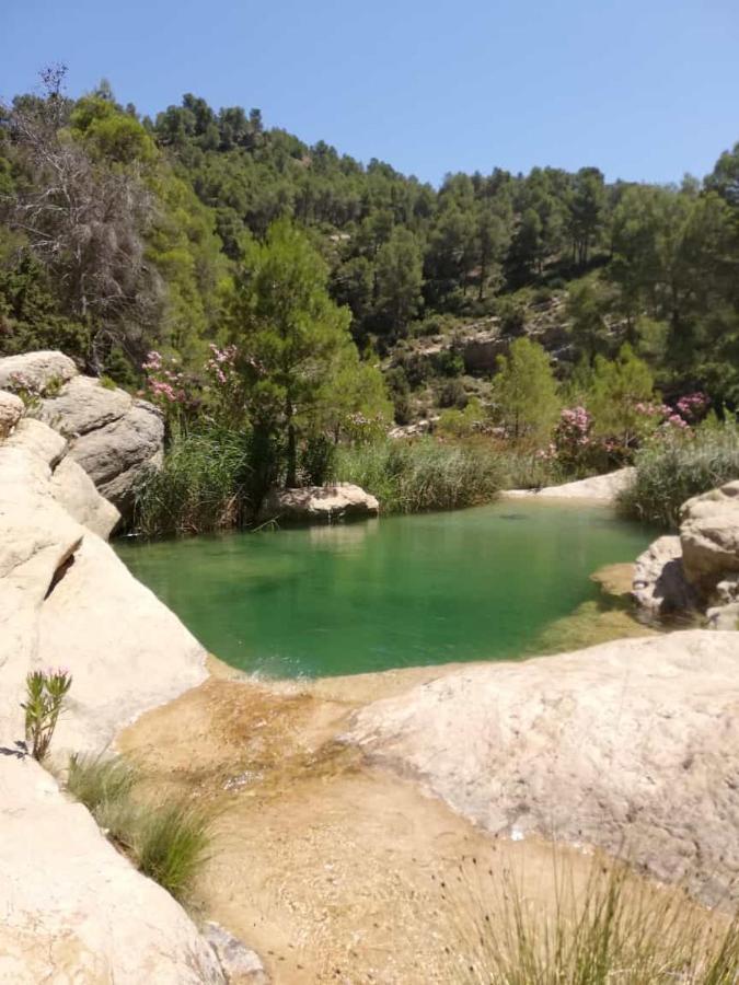El Majuelo *