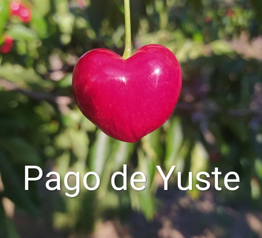 Pago De Yuste - *