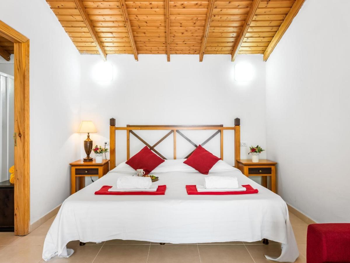 101 Bright, Pool View And Air Conditioning Playa de las Americas (Tenerife)
