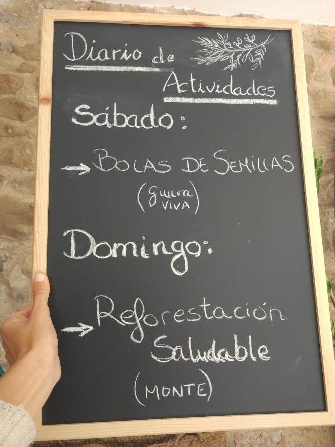 Guara Viva *