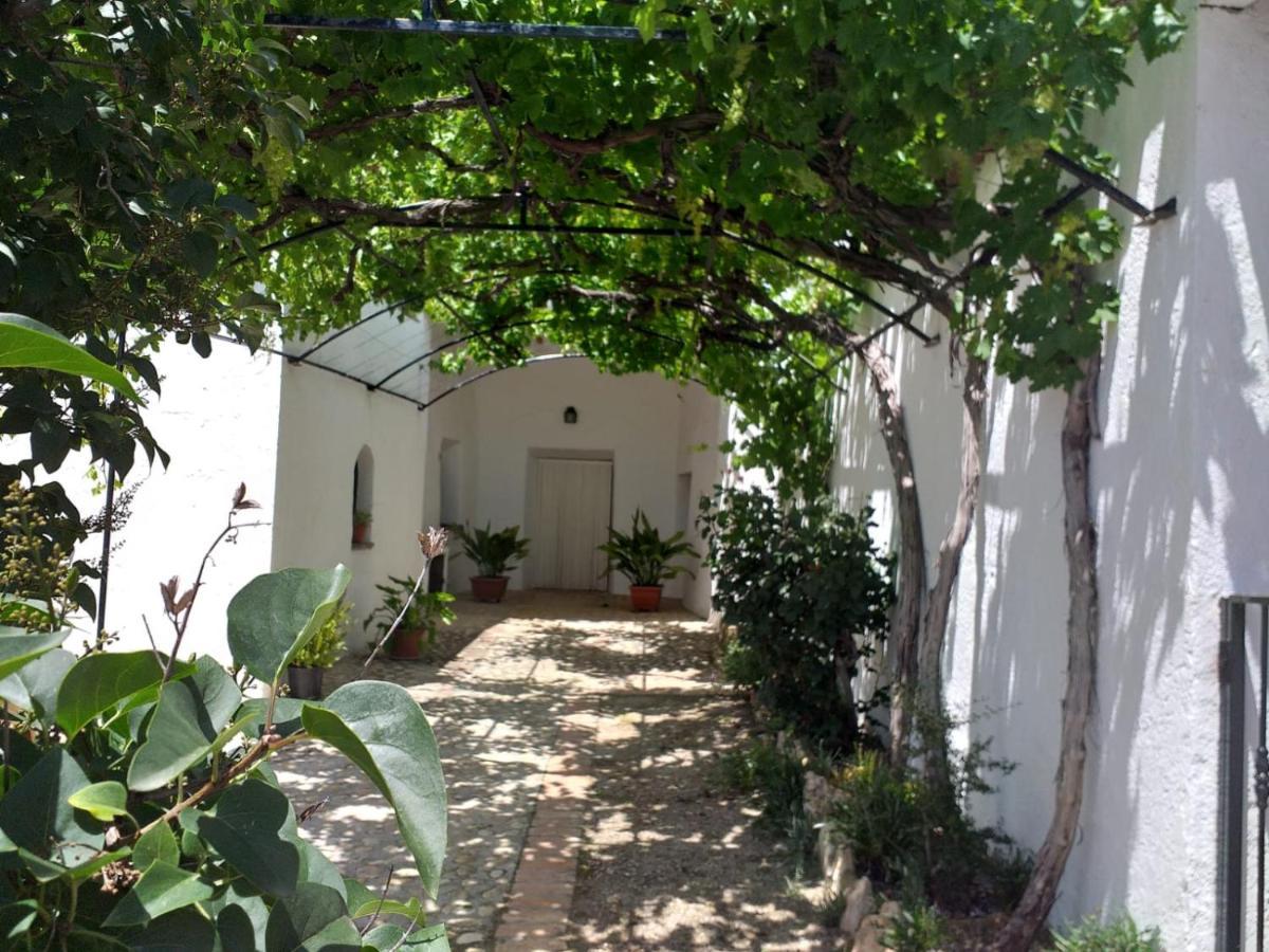 Casa Cueva Pastor Holiday home