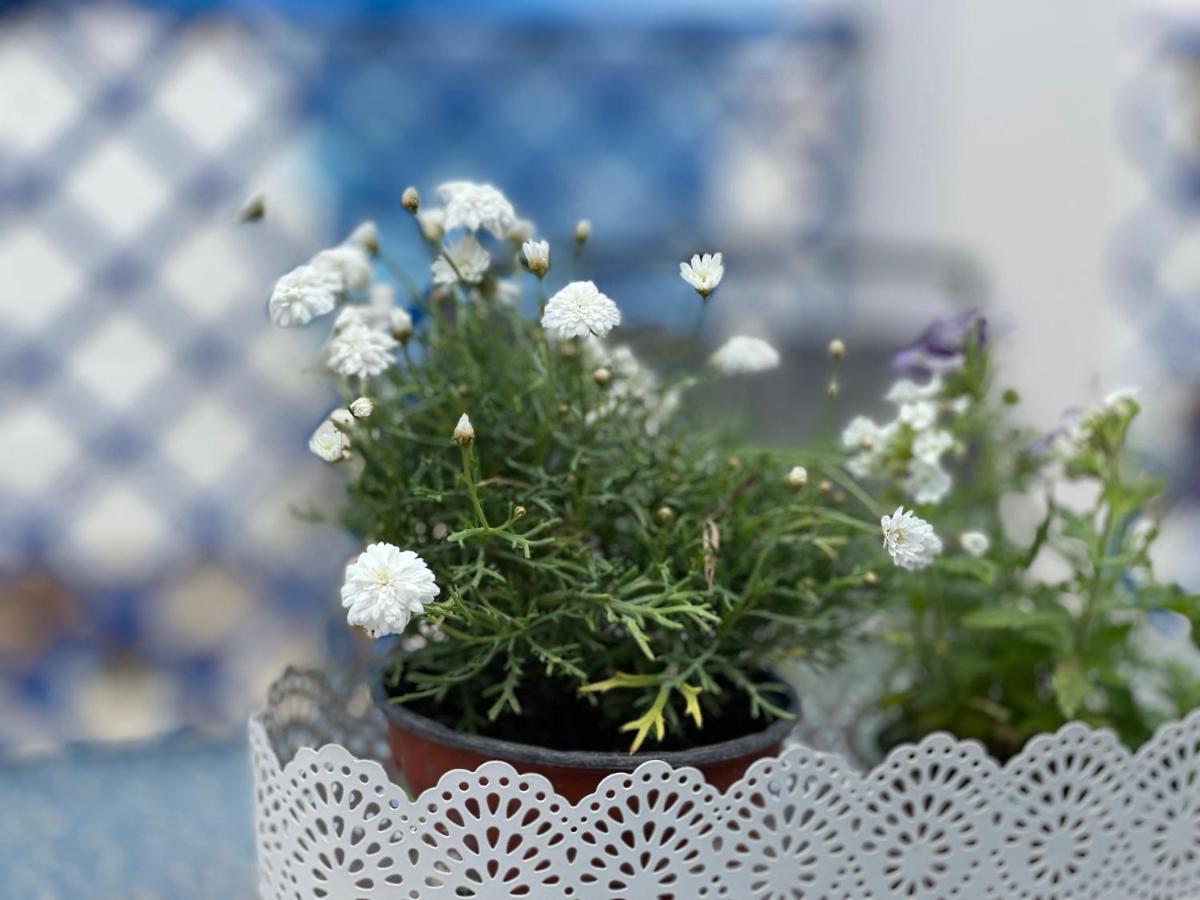 Apartamento Vela Blanca *