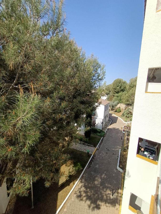 R121 - Alorda Park