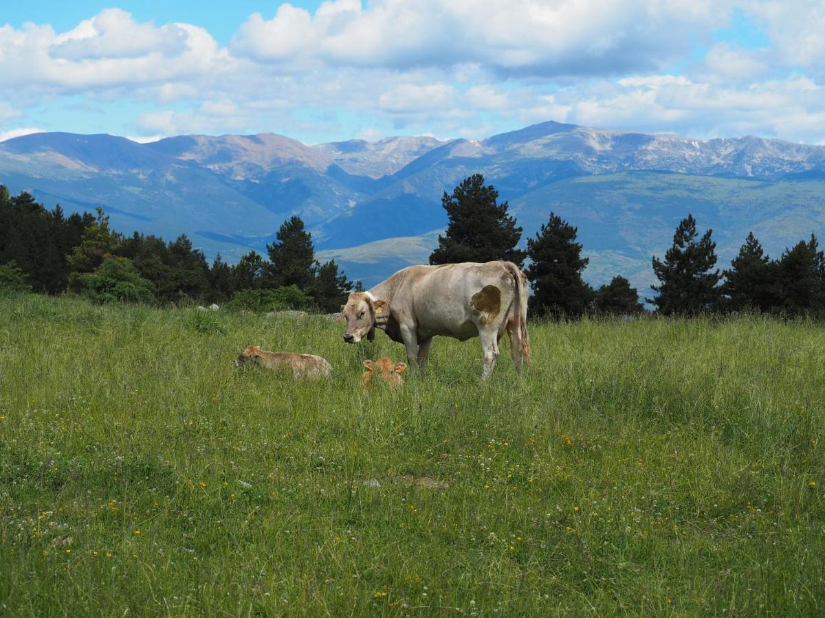 A La Molina, Grans Vistes, Llar De Foc * La Molina Alp