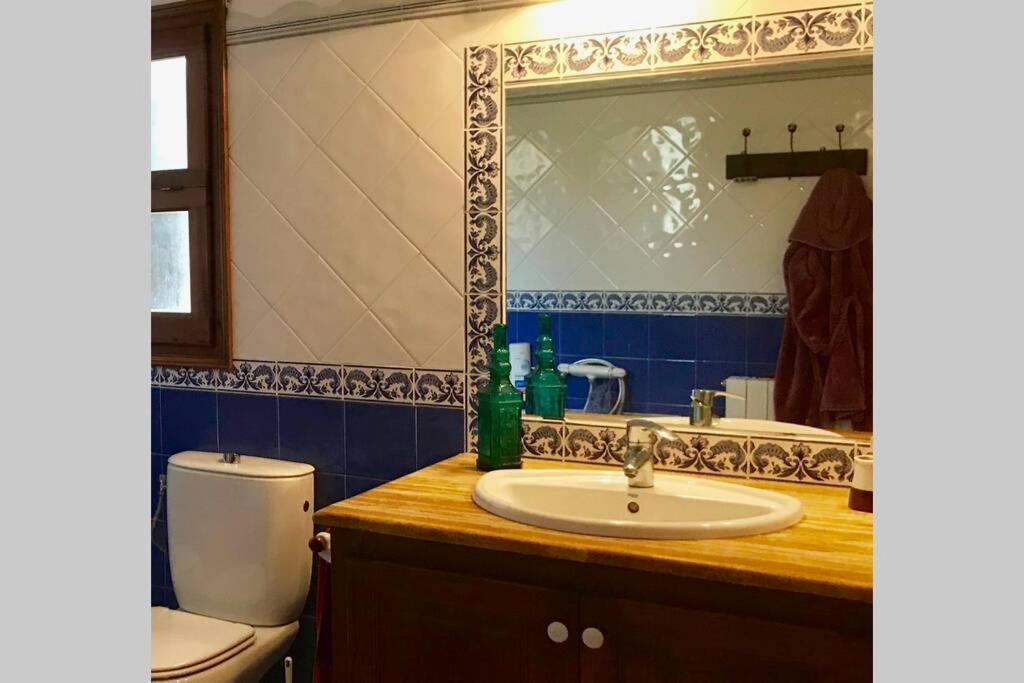 Casa Con Piscina En La Costa Brava *