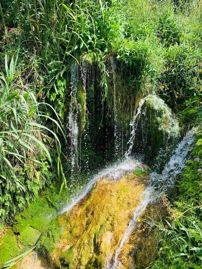 Jasmin *