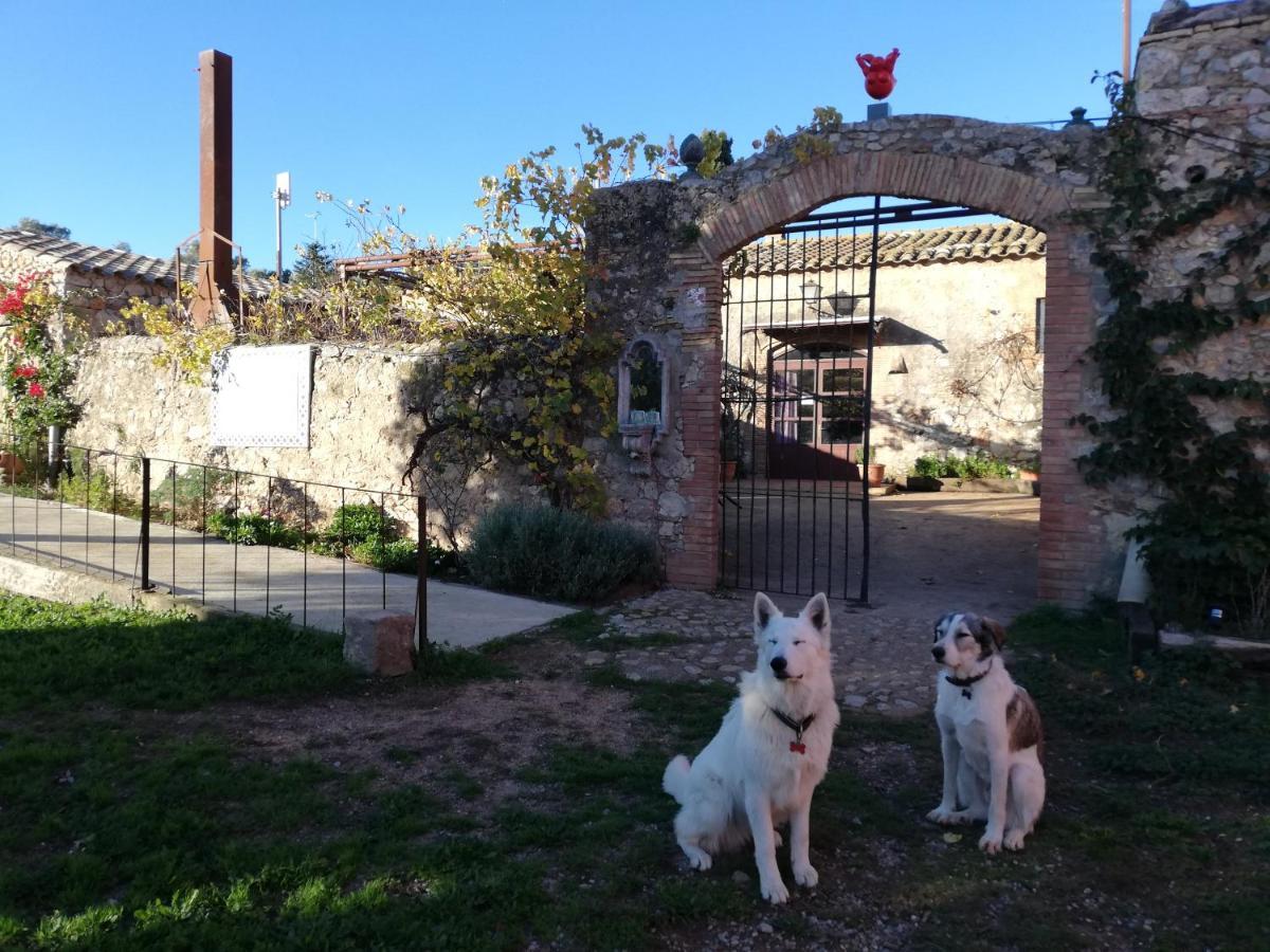 Bed & Breakfast Mas Del Llop Blanc - Dog Friendly Rural - Sobrestany