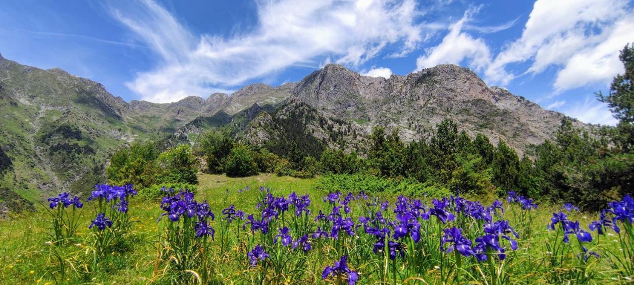 Apartamento Pleta Del Mont Atico Benasque