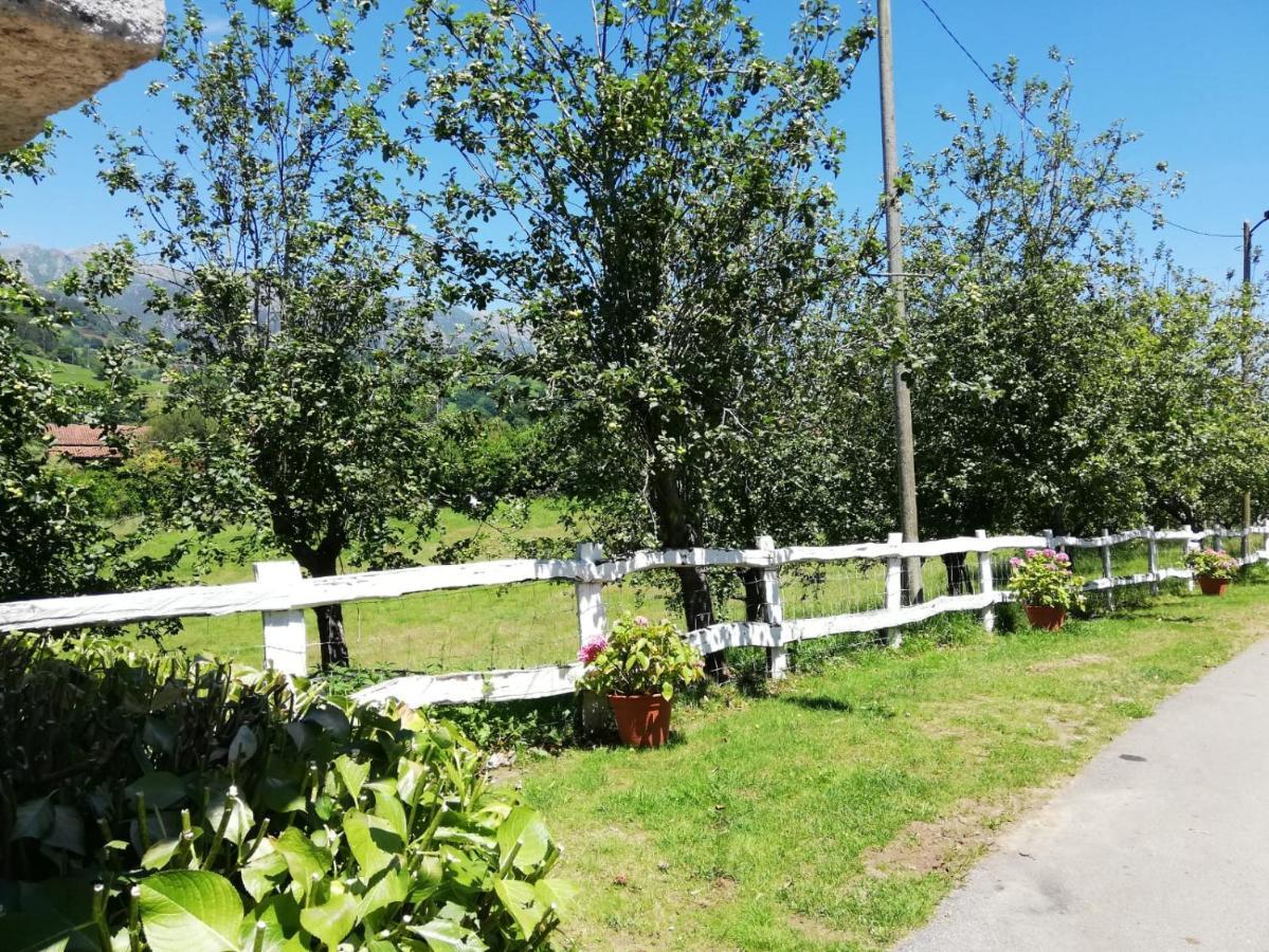 Rural La Casa Nueva * Cereceda (Asturias)