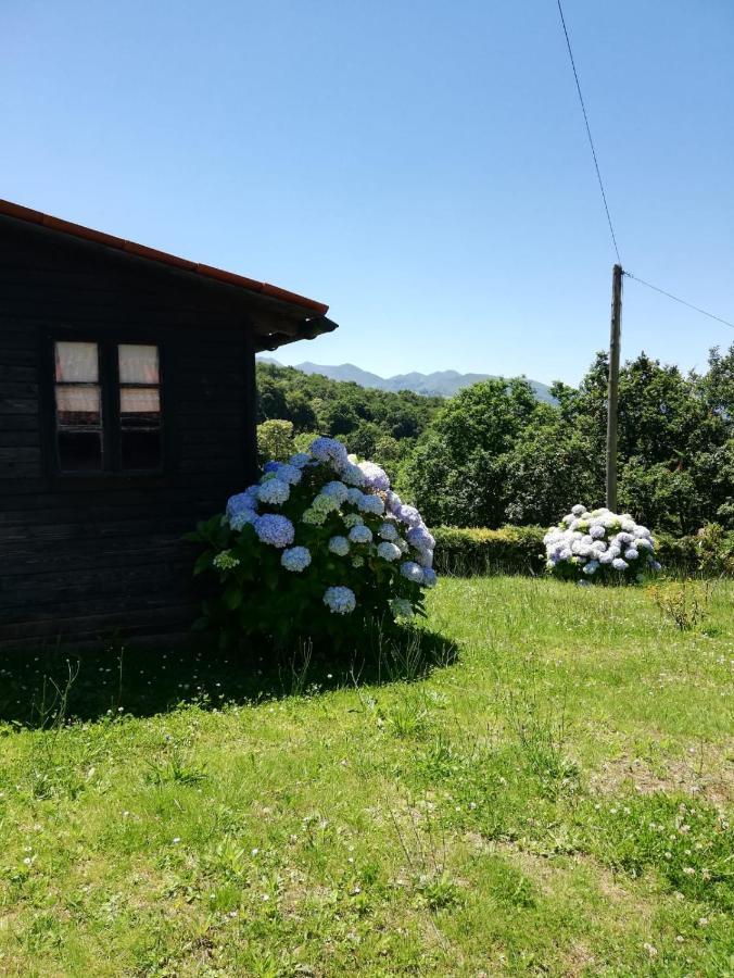 Casa rural Rural La Casa Nueva