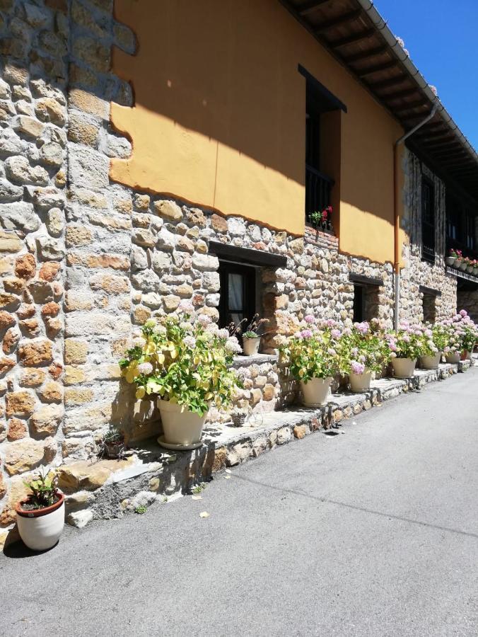 Rural La Casa Nueva Cereceda (Asturias)