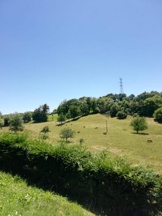Rural La Casa Nueva *