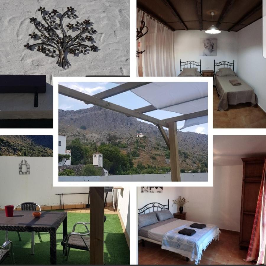 Bn Terraza Apartamento