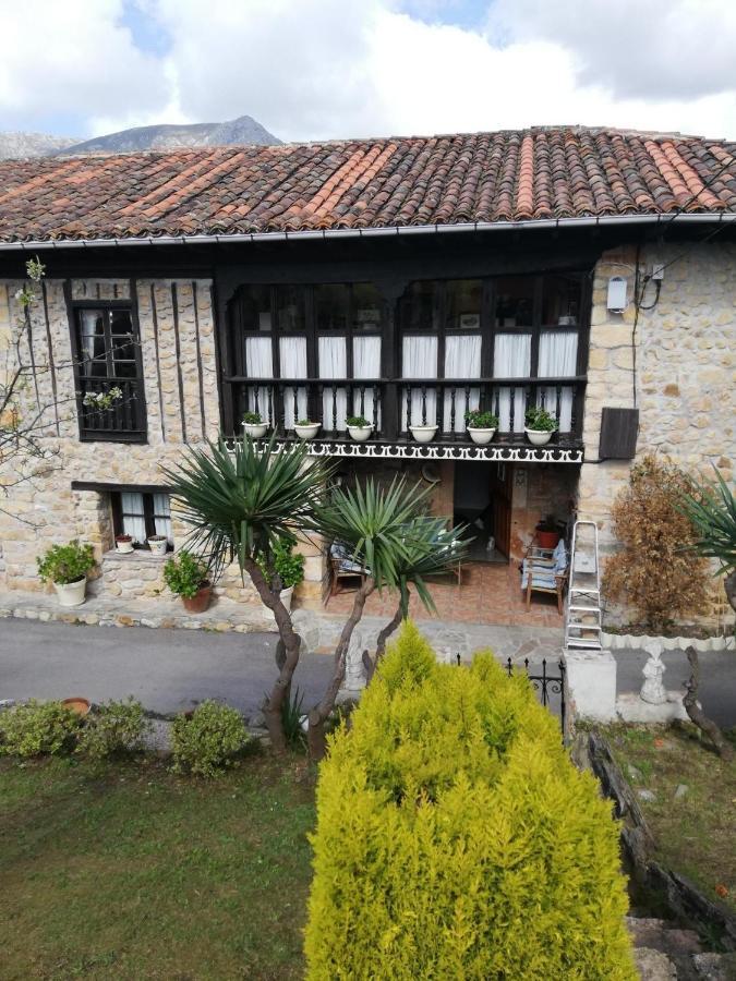 Rural La Casa Nueva Cereceda (Asturias)