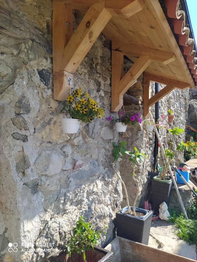 Massia Gasset Bed & Breakfast Senterada