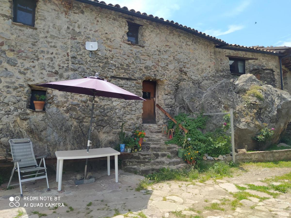 Massia Gasset Bed & Breakfast *