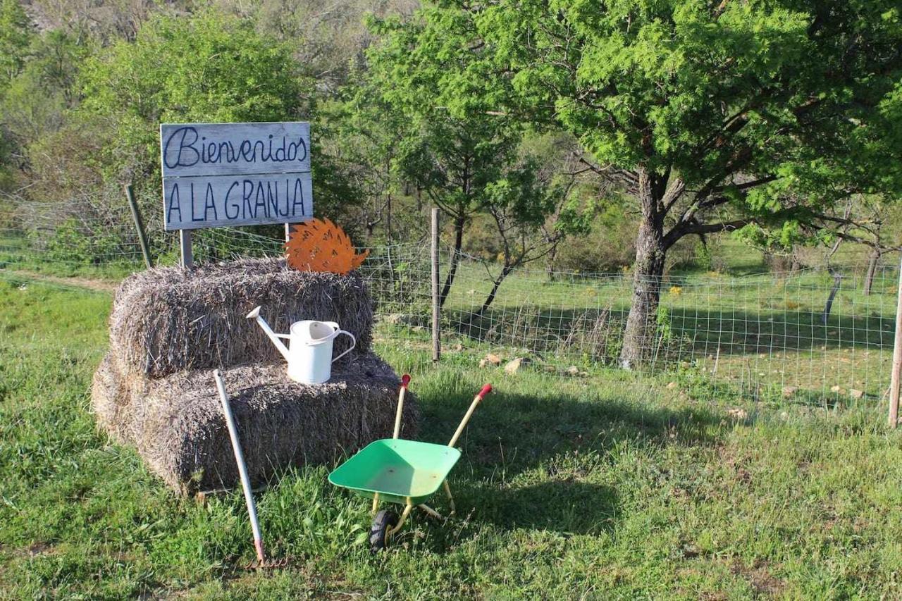 Casa El Tio Carrascon Rural