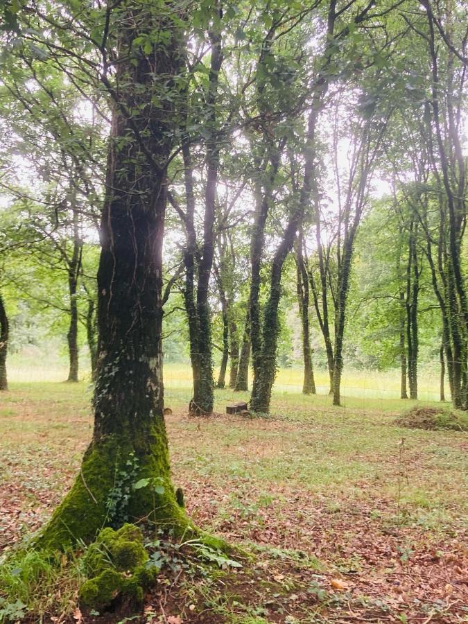 De Campsite Sarria