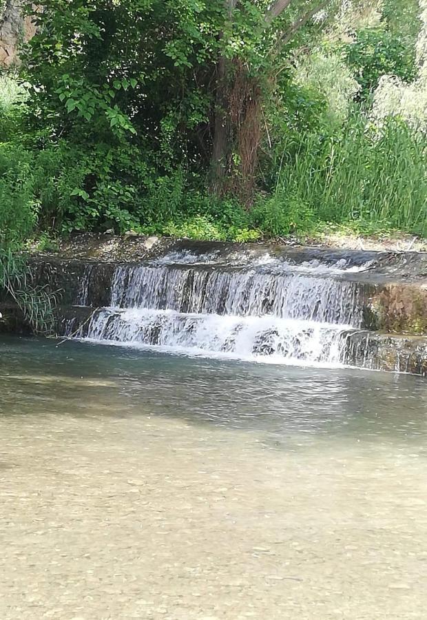 El Majuelo
