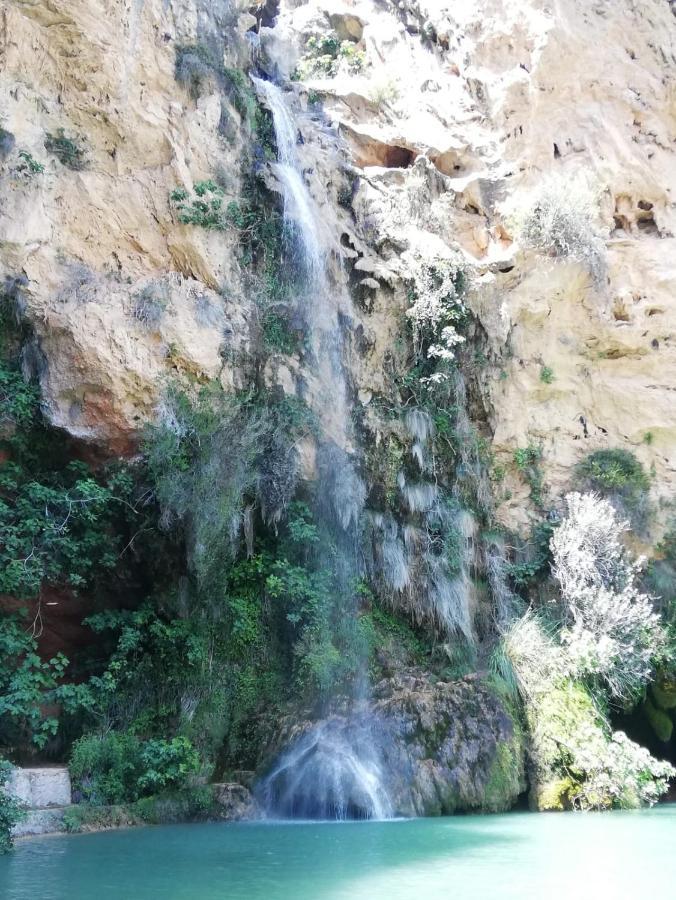 El Majuelo La Portera