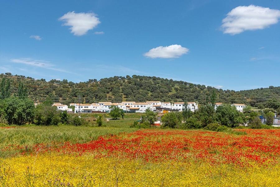 Nacimiento Del Huéznar - Tomillo 17 * San Nicolás del Puerto