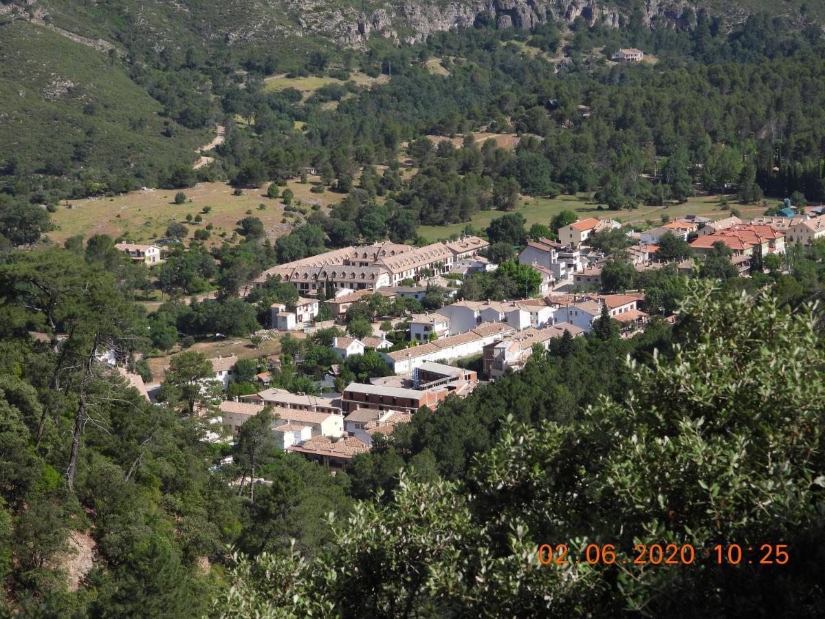 Forastera *