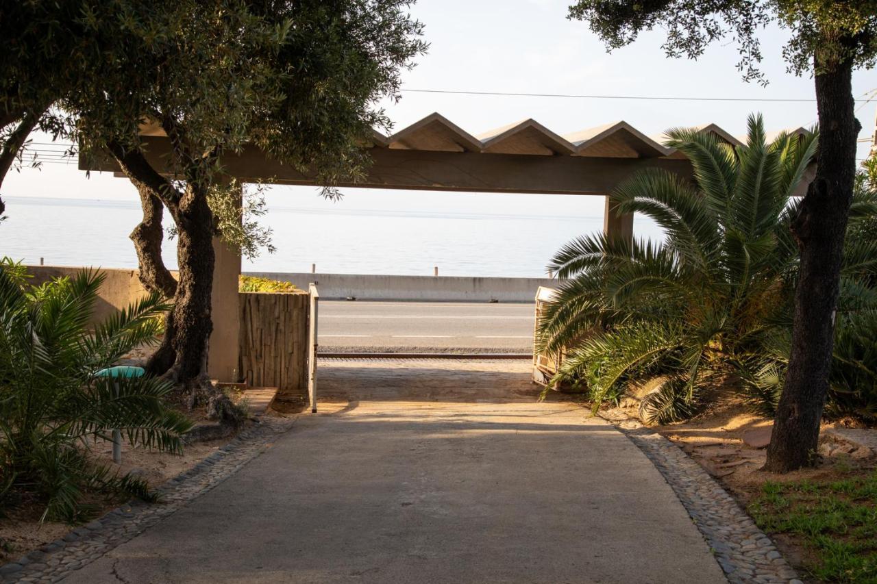 Bagues * Mataro