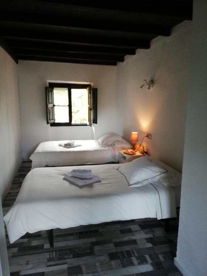 Rural La Casa Nueva Cereceda (Asturias)