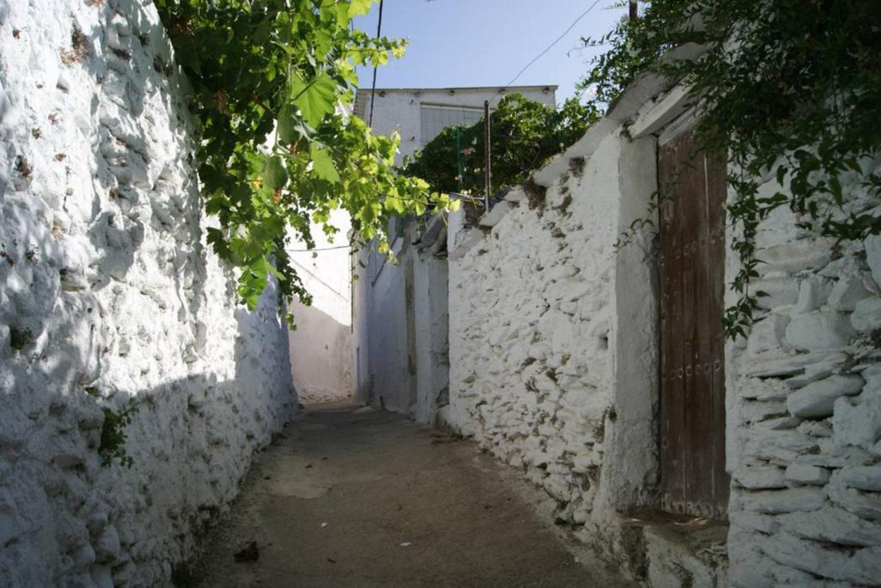 Charming House In With View Cádiar