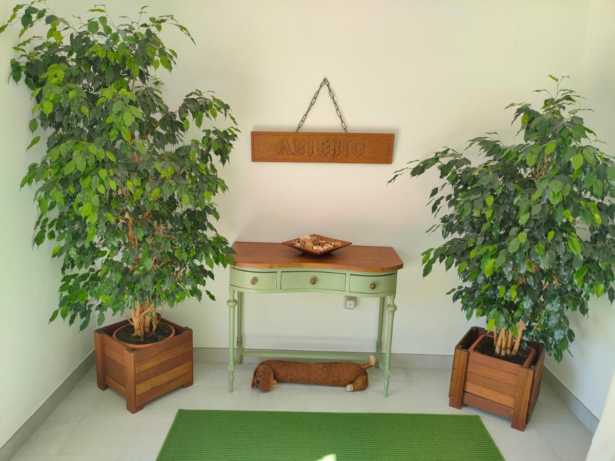 Apartment Loft Abantos - 120m2 Mas Terraza Y Jardin Independiente