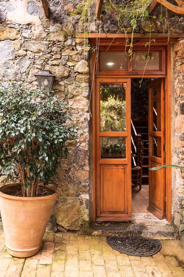 Apartamento Homeforguest Cosy Rural Flat El Romero With Large Gardens Tacoronte