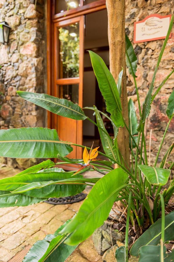 Apartamento Homeforguest Cosy Rural Flat El Romero With Large Gardens Tacoronte