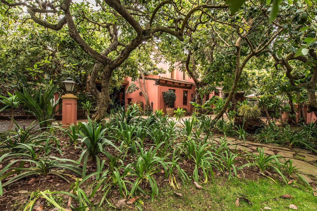 Homeforguest Cosy Rural Flat El Romero With Large Gardens *
