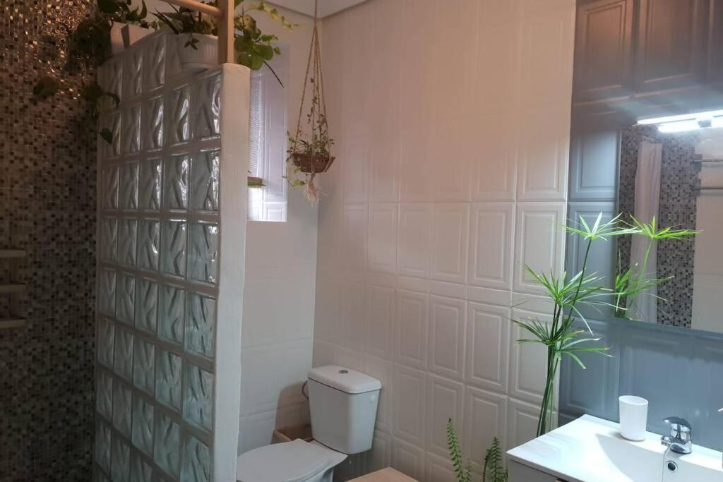 Apartamento Bonito Y Coqueto Córdoba