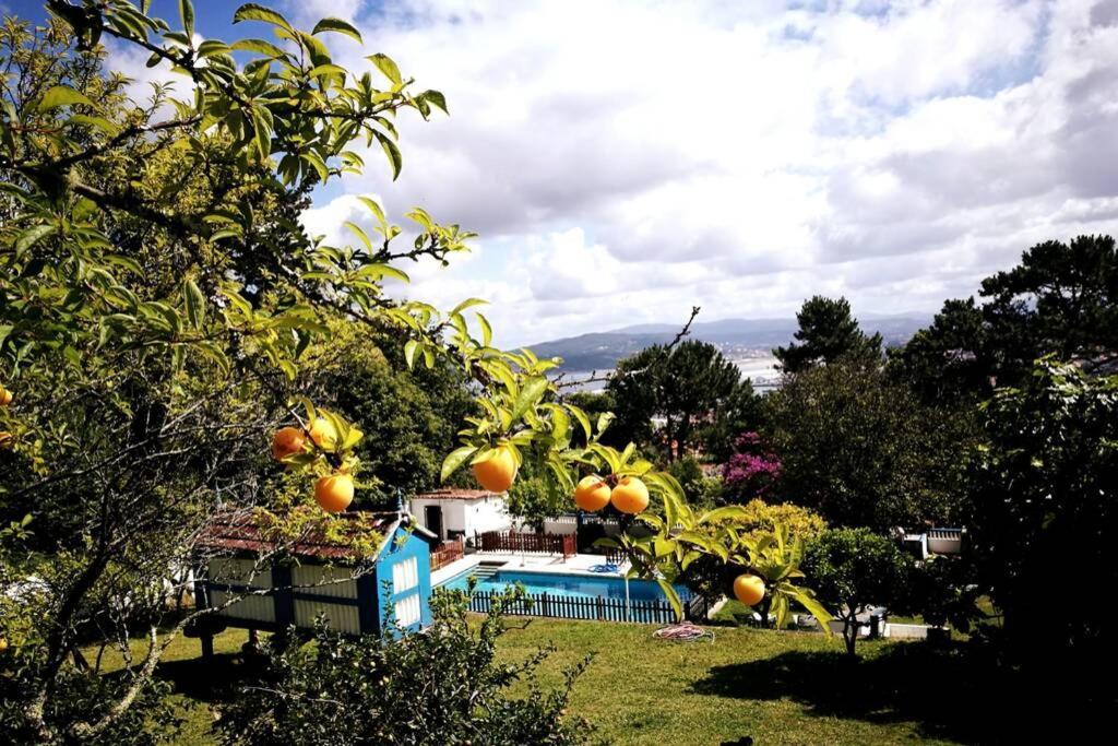 Abad, Rustica Con Casa Y Piscina Villa Marin