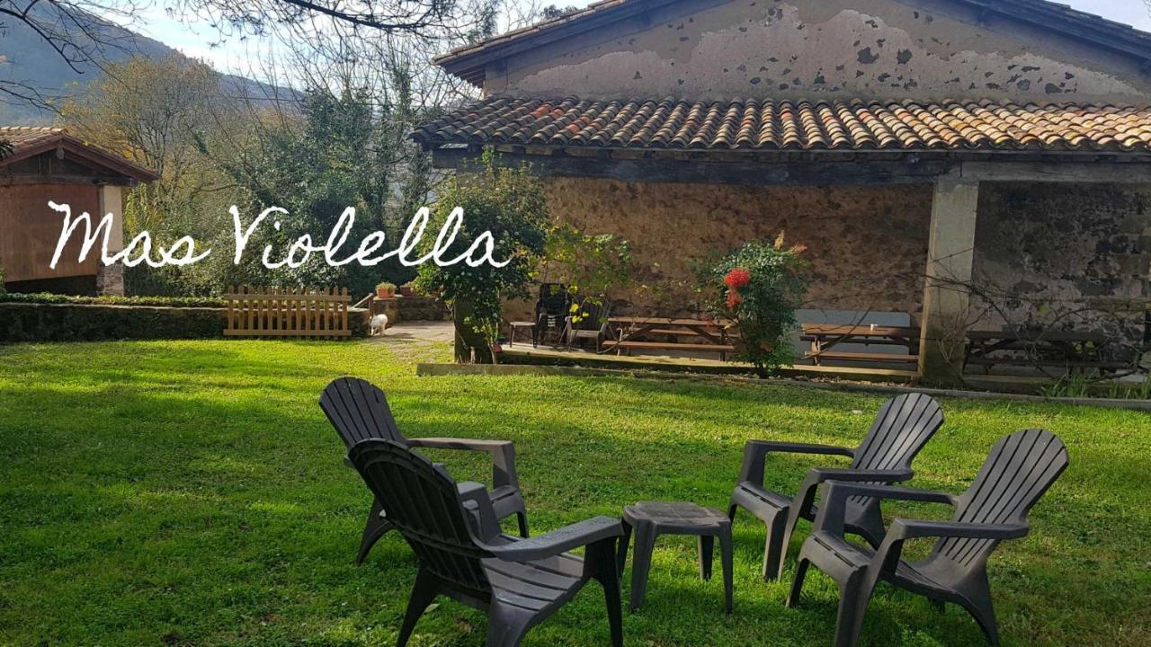 Mas Violella Rural *