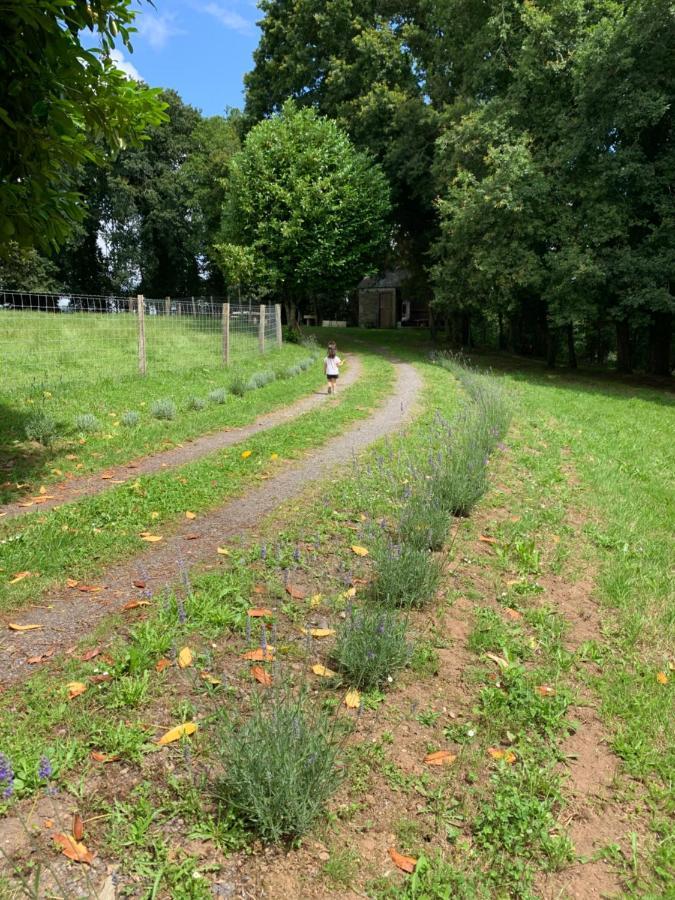Campsite - A Pastoriza - Lugo Baltar (Lugo)
