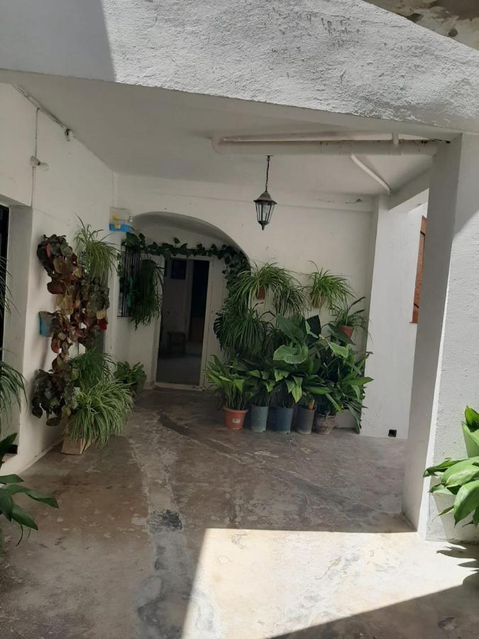 El Estudio Del Zaguán * Vejer de la Frontera