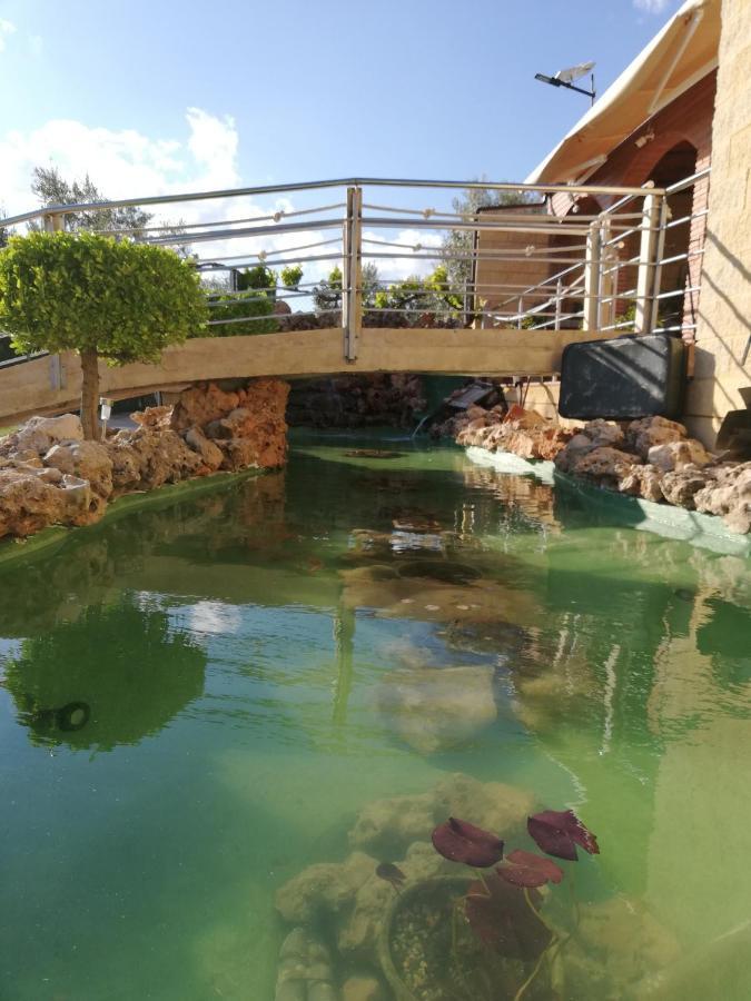 Villa Vega *