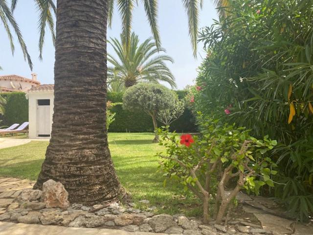 Villa Palmera Playa Almadrava, Els Poblets , *