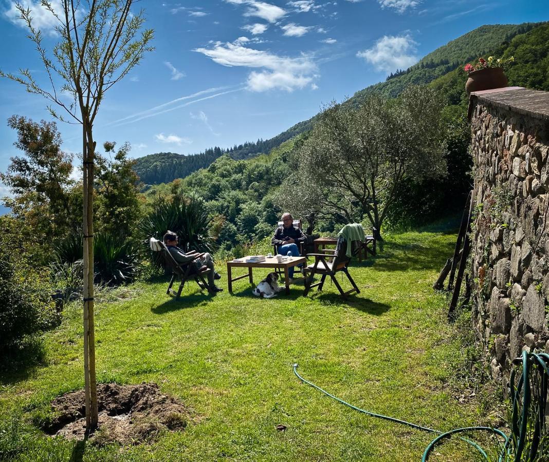 Country house El Buxaus De La Muntanya Arbucies