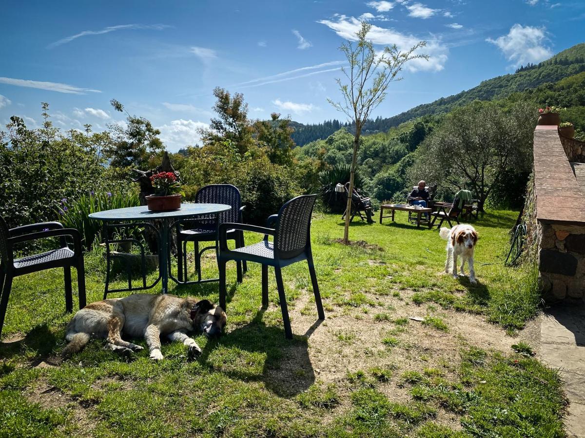 Country house El Buxaus De La Muntanya Arbucies
