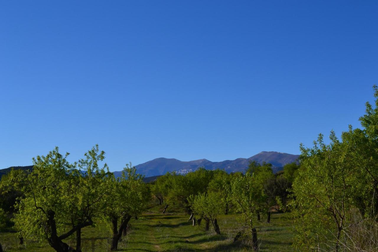 Rincon De Guara *