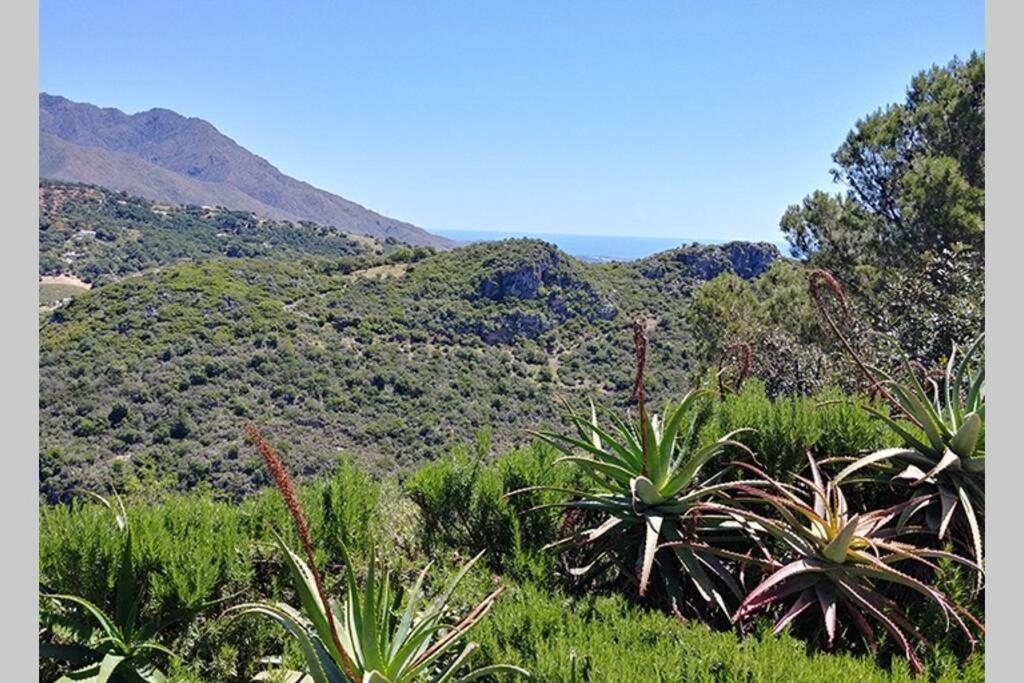 Casa Mariposa Apartment Casares