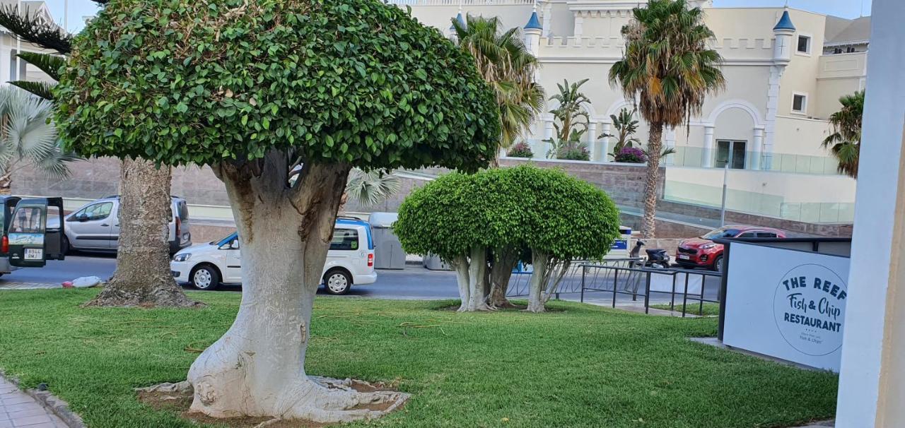 Apartment Avaa San Miguel de Abona