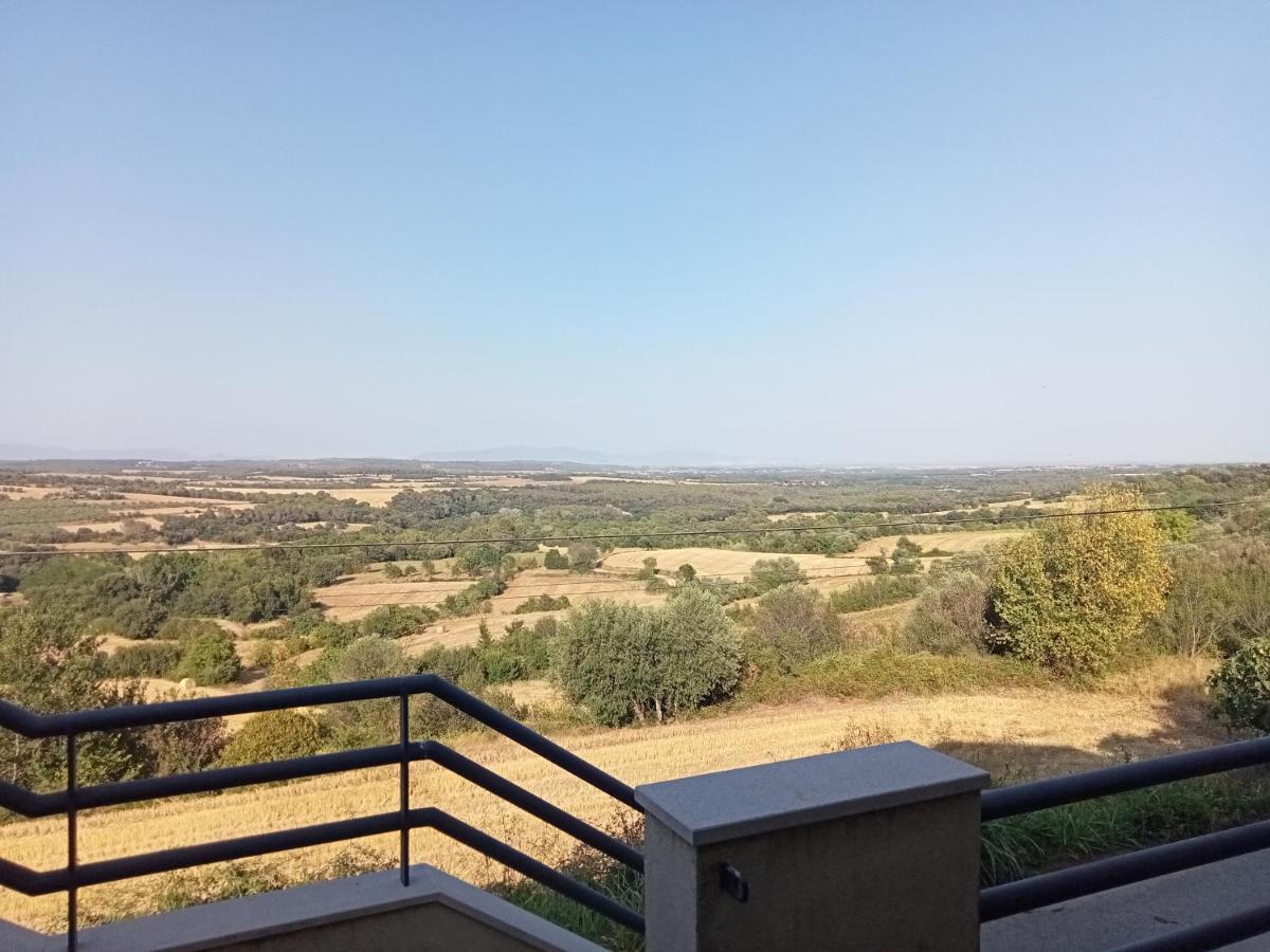Apartment L'horitzo Llado