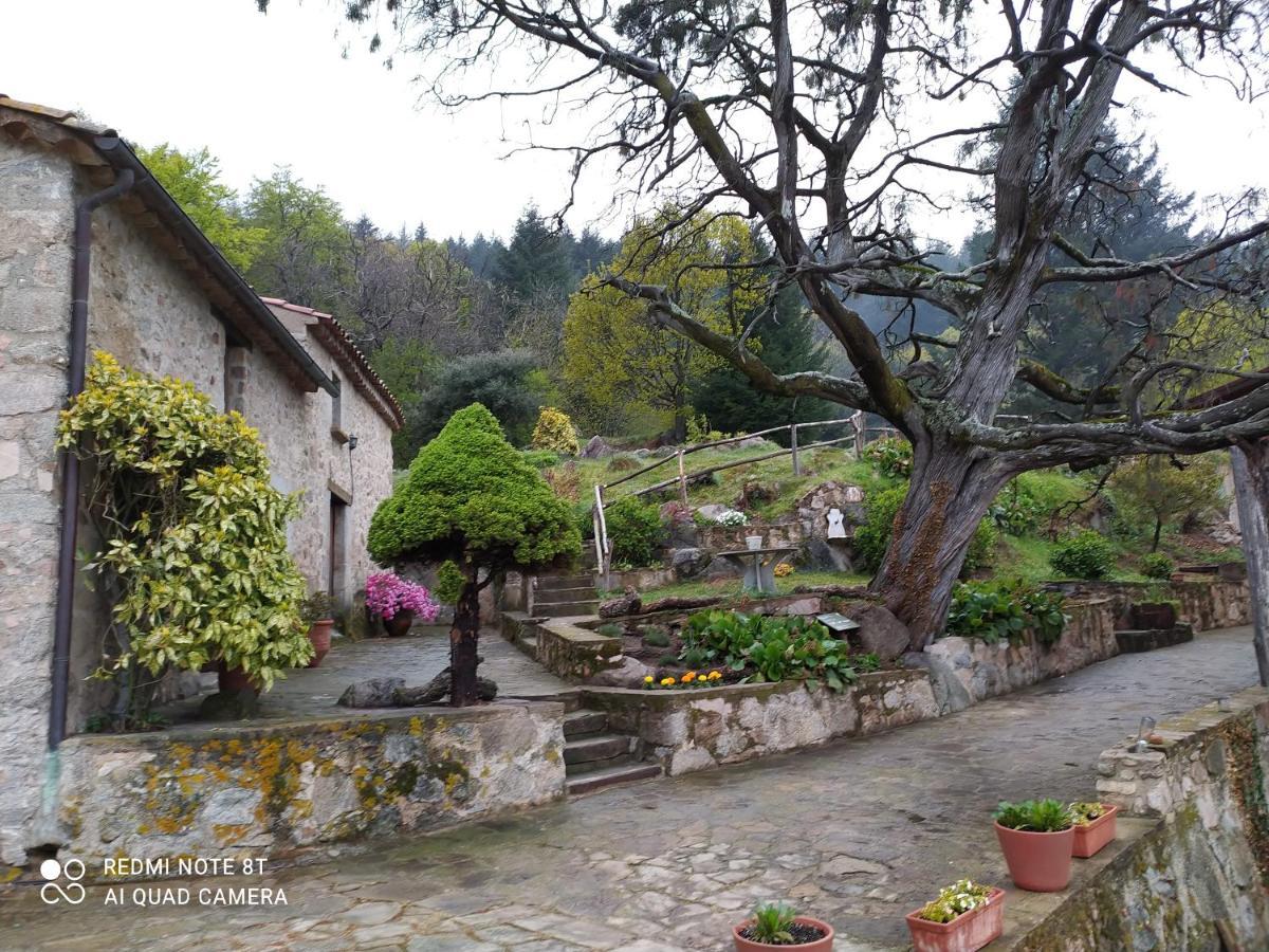 Country house El Buxaus De La Muntanya